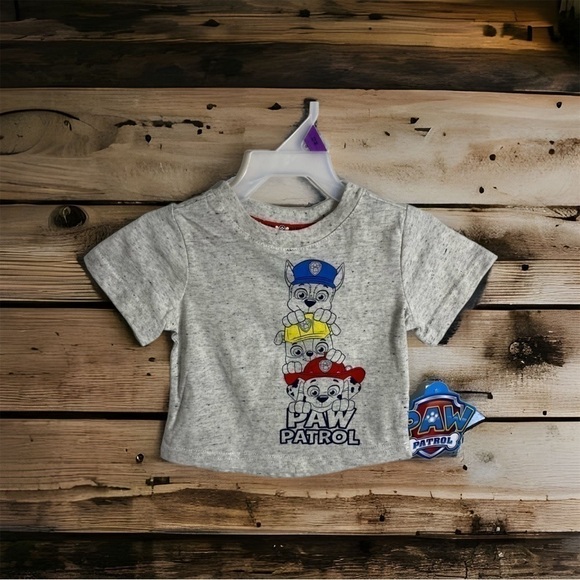 Paw Patrol Other - Paw Patrol 4T T-Shirt Gray NWT Kids Toddler